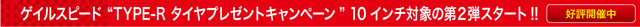 QCXs[hgTYPE-R ^Cv[gLy[h10C`Ώۂ̑2eX^[g