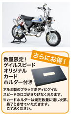 ゲイルスピードオリジナルカードホルダー付き